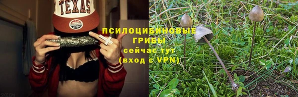 бутират Алзамай