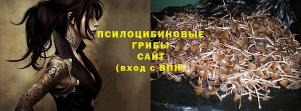 амфетамин Алексеевка